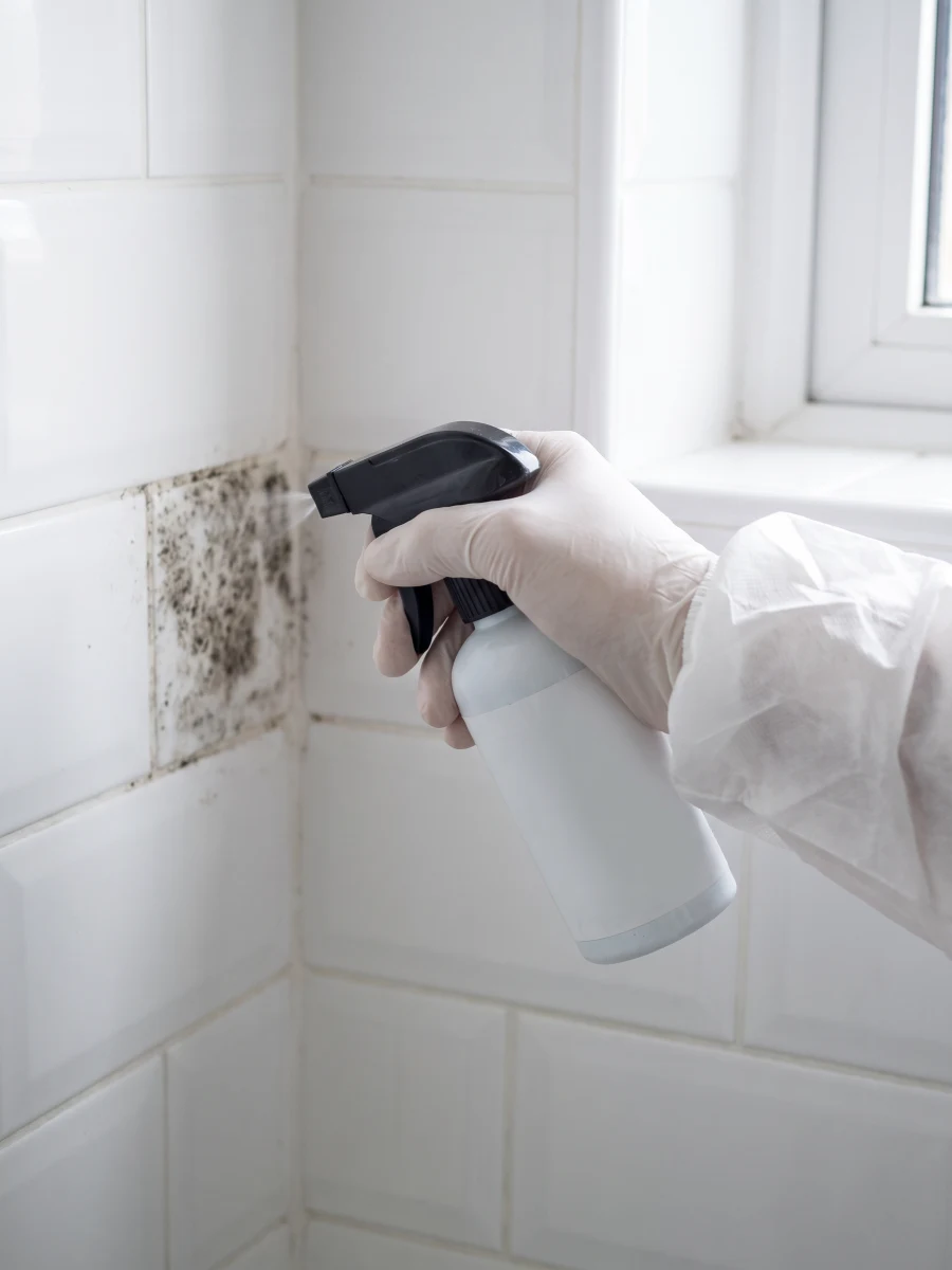 Schimmelbeseitigung im Badezimmer, Schimmelbeseitigung Hamburg
